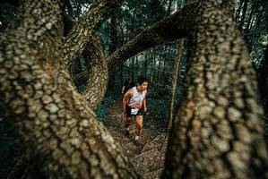 BIB: 
                            <button type="button" onclick="openModal(25667967)" class="btn btn-primary btn-sm float-right btn-popup" data-toggle="modal" data-target=".modal-high-quality">
                        <i class="fas fa-shopping-cart"></i> Add to Cart
                    </button>
                                            <button type="button" onclick="isThisMe(25667967, true)" class="btn btn-success btn-sm float-right btn-popup btn-isme hidden" data-toggle="tooltip" data-placement="bottom" title="นี่คือรูปของคุณใช่ไหม คลิกที่นี่เพื่อเอาเข้าอัลบั้ม">
                        <i class="fas fa-plus"></i> Add to album
                    </button>
                    <button type="button" onclick="isThisMe(25667967, false)" class="btn btn-warning btn-sm float-right btn-popup btn-isnotme hidden">
                        <i class="fas fa-ban"></i> Remove from album
                    </button>